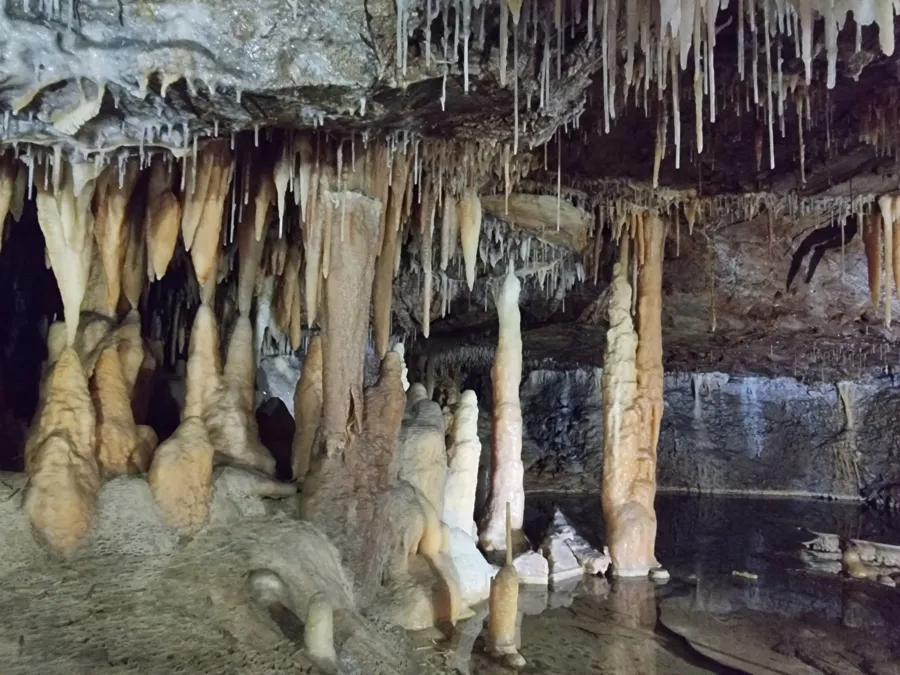 item image 527 album của tour Lake Entrance - Bắt ghẹ vớt tôm