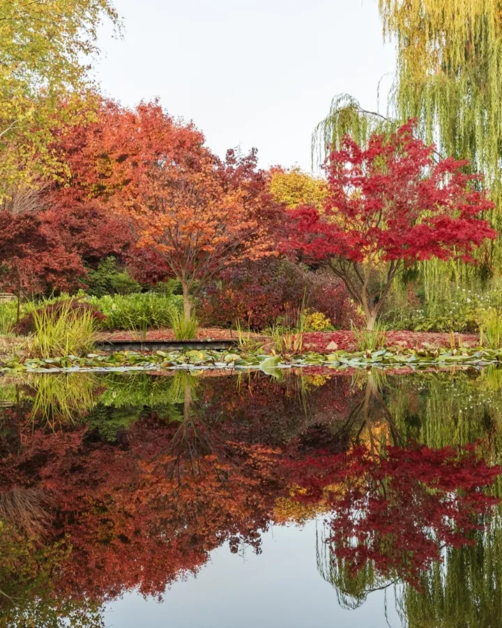 item image 648 album của tour Lá mùa thu Mayfield