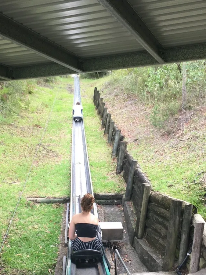 item image 617 album của tour Ngắm cá heo - Cưỡi Lạc đà - Nelson Bay