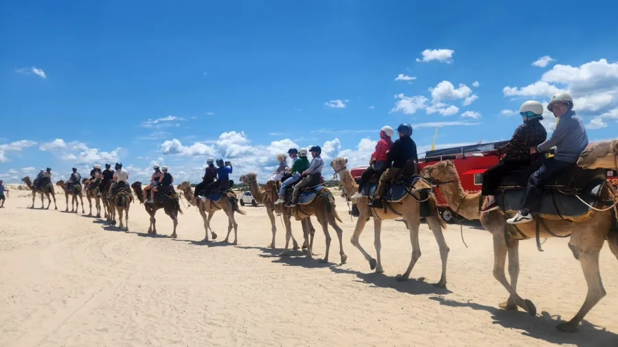 item image 647 album của tour Ngắm cá heo - Cưỡi Lạc đà - Nelson Bay