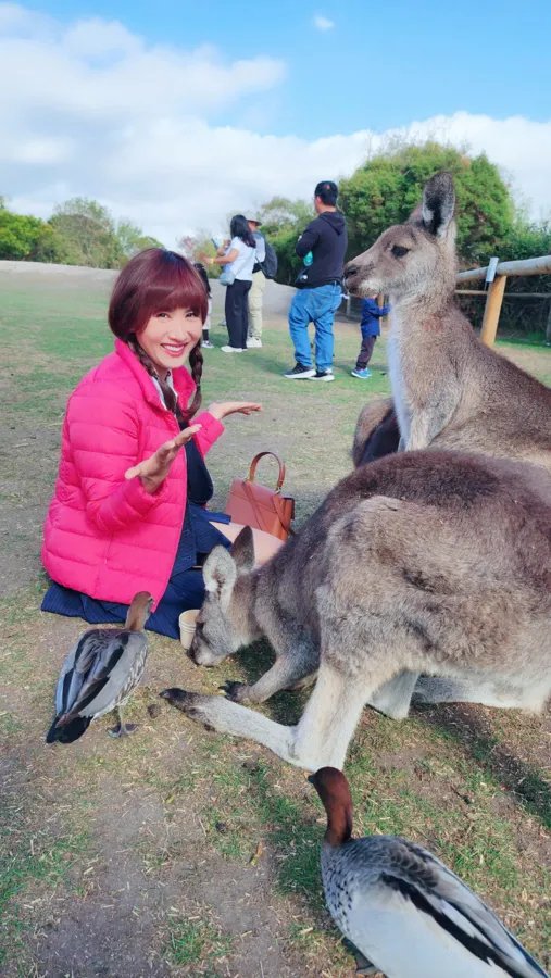 item image 685 album của tour Phillip Island VIP tour