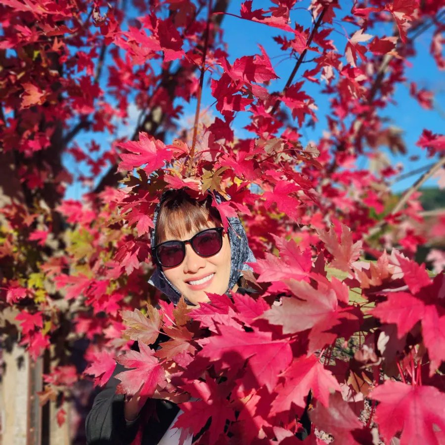 item image 681 album của tour Việt booking - VietBooking - Vbooking - Lá thu thị trấn Bright