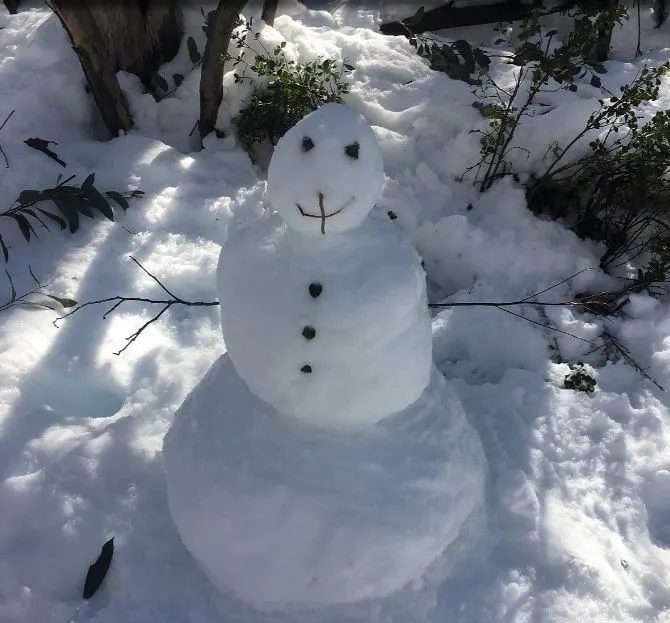 item image 713 album của tour Việt booking - VietBooking - Trượt tuyết núi Perisher