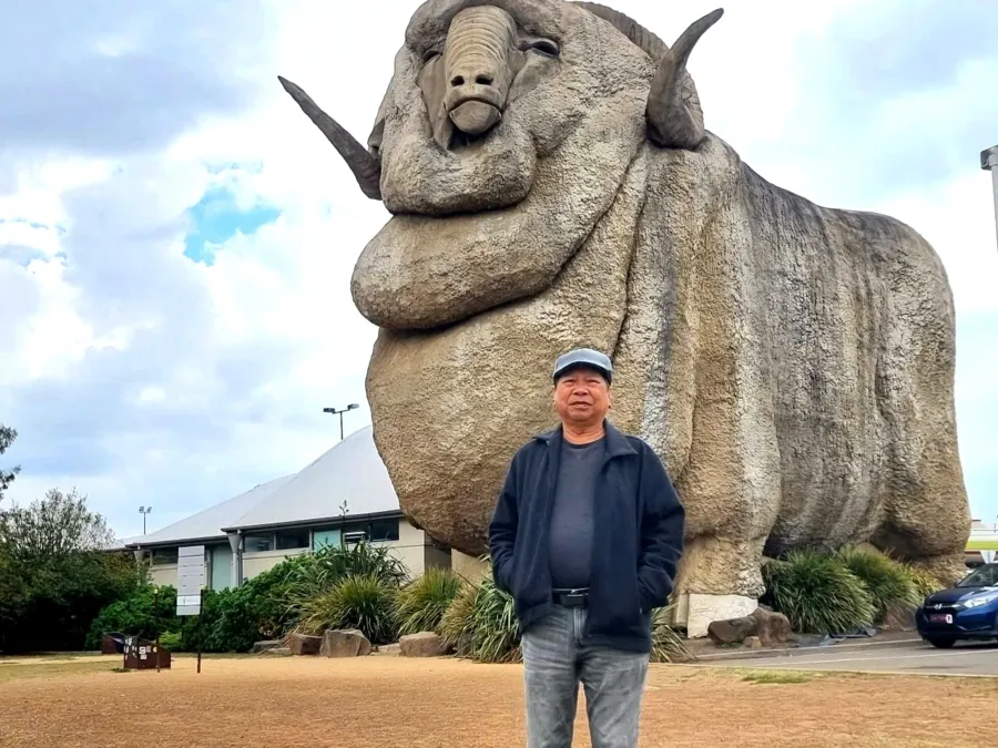 item image 733 album của tour Rừng tuyết Canberra