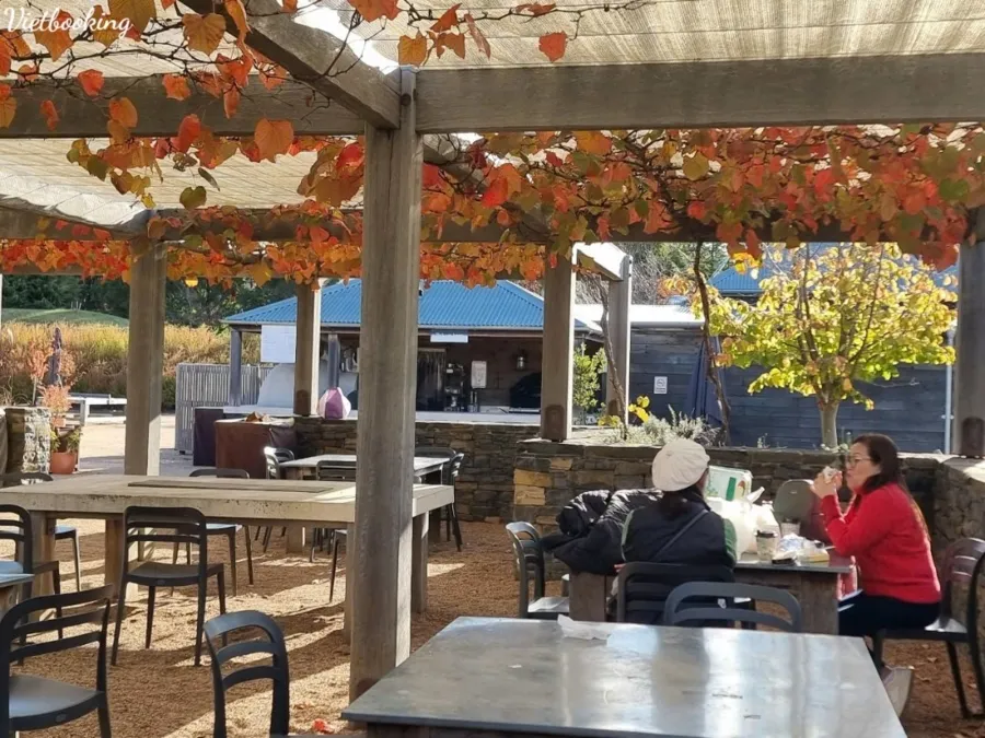 item image 677 album của tour Lá mùa thu Mayfield