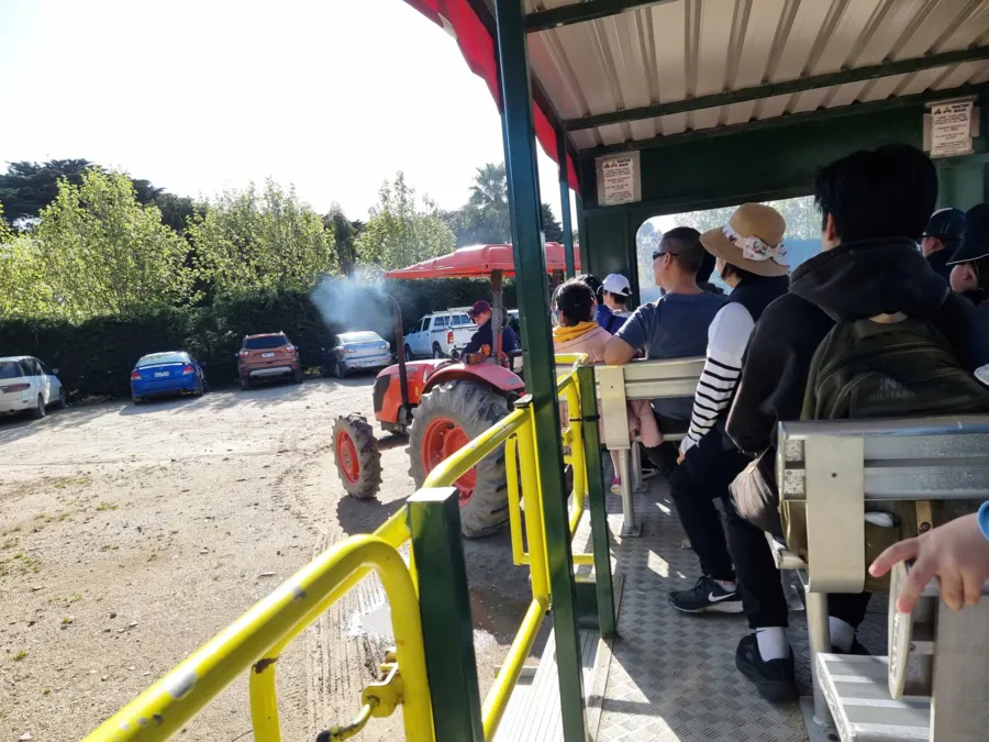 item image 817 album của tour Bán đảo Mornington