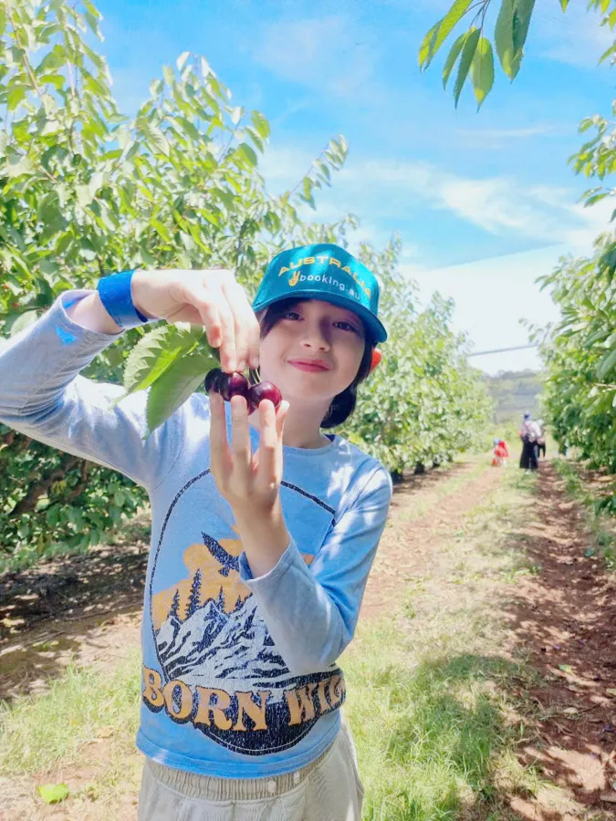 item image 822 album của tour Bán đảo Mornington