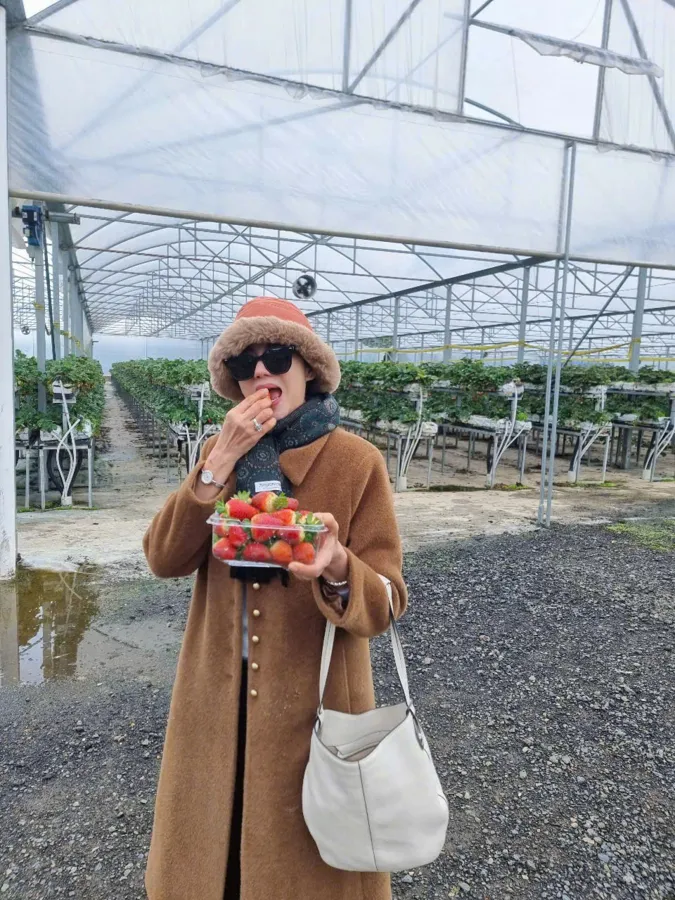 item image 825 album của tour HÁI CHERRY SYDNEY, hái dâu Sydney