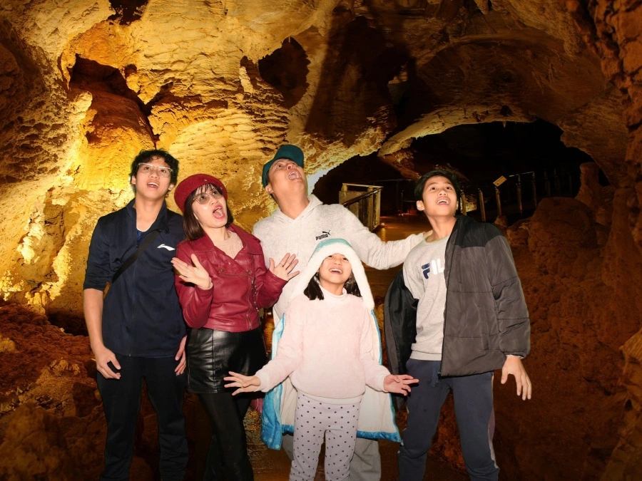 item image 980 album của tour Auckland 5 ngày VIP