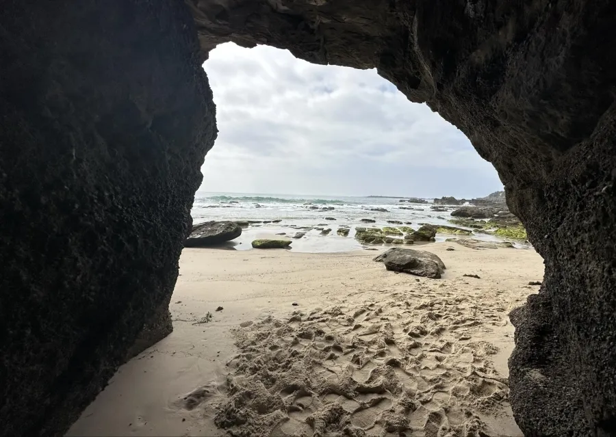 item image 331 album của tour Sydney tour - 5 ngày 4 đêm