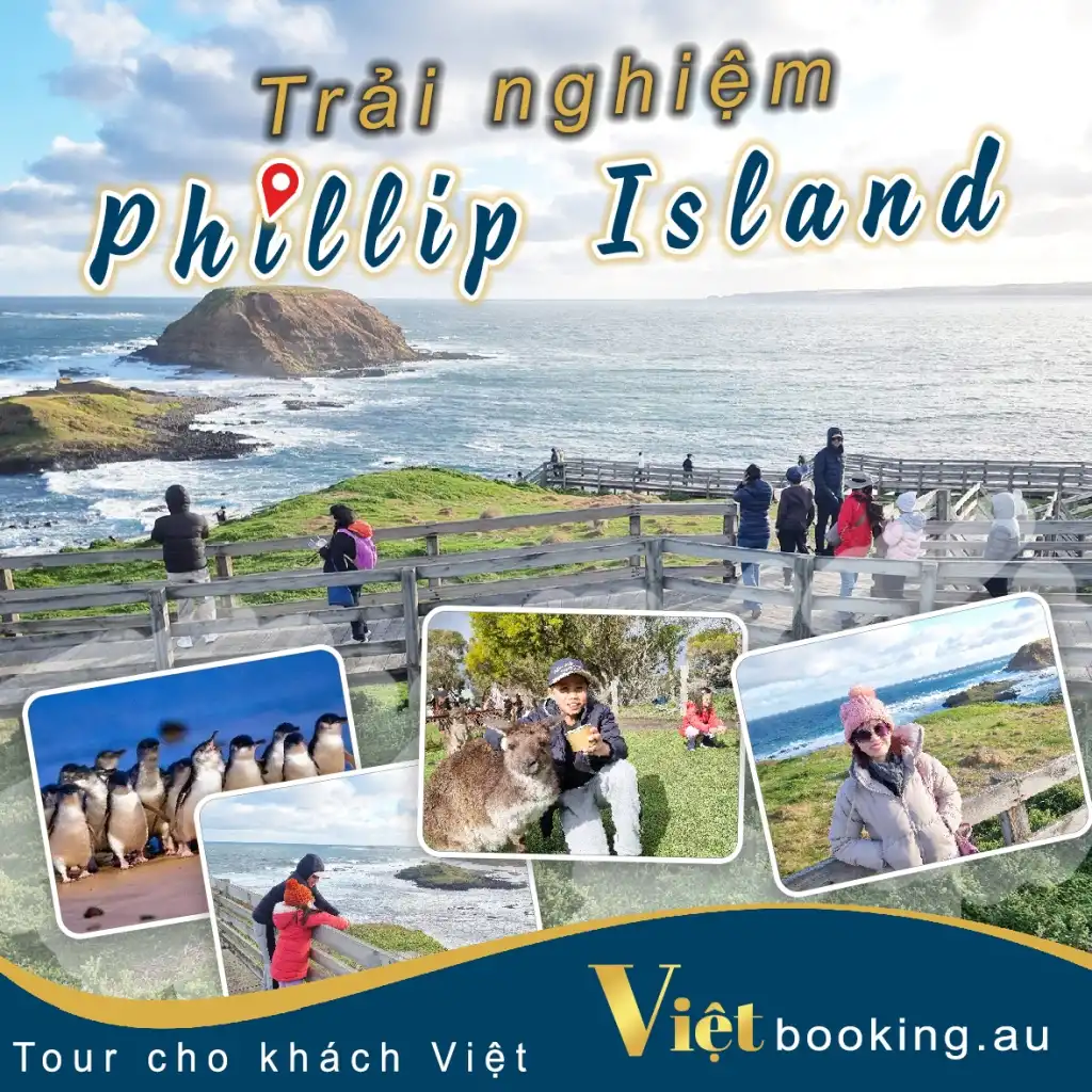 Phillip Island VIP tour