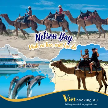 Nelson Bay - Cưỡi lạc đà, ngắm cá heo