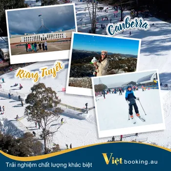 Rừng tuyết Canberra