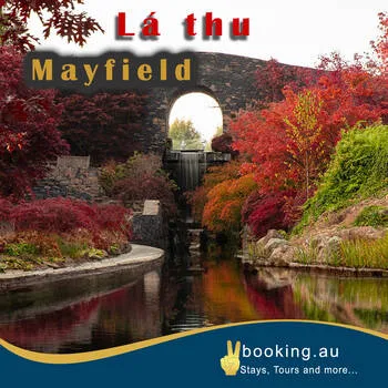 Lá mùa Thu Mayfield